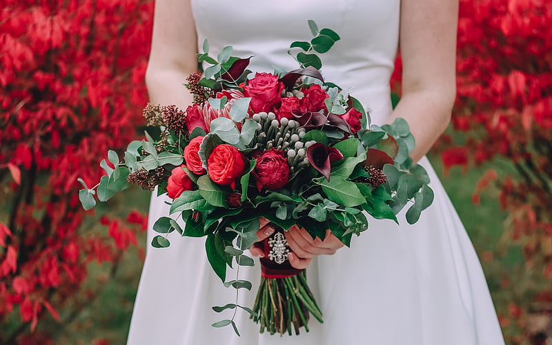 Ramo de novia, rosas rojas, novia, conceptos de boda, vestido blanco, ramo  en las manos, Fondo de pantalla HD | Peakpx