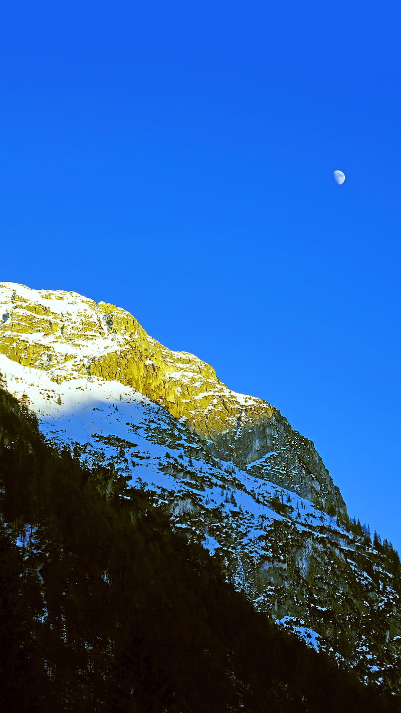 mountains, rocks, moon, trees, snowy, HD phone wallpaper