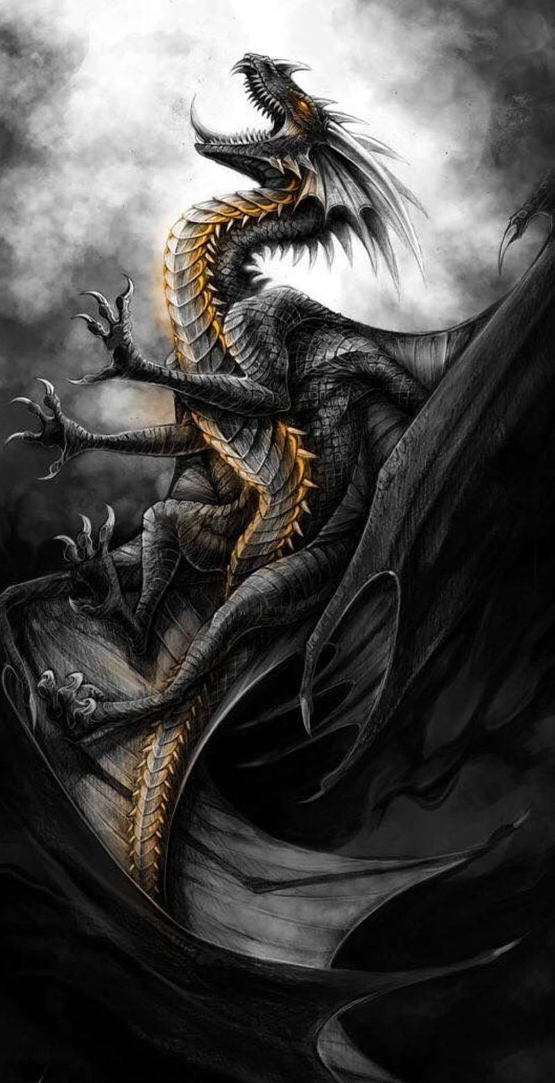 Download Free Android Wallpaper Dragon  4242  MobileSMSPKnet