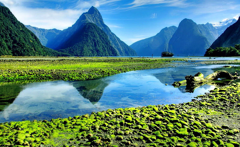 Milford sound fiord, New Zealand, rocks, shore, sound, bonito, mirrored, mountain, nice, green, cliffs, peaks, reflection, amazing, quiet, clear, greenery, fiord, milford, sky, lvoely, lake, water, serenity, New Zealand, HD wallpaper