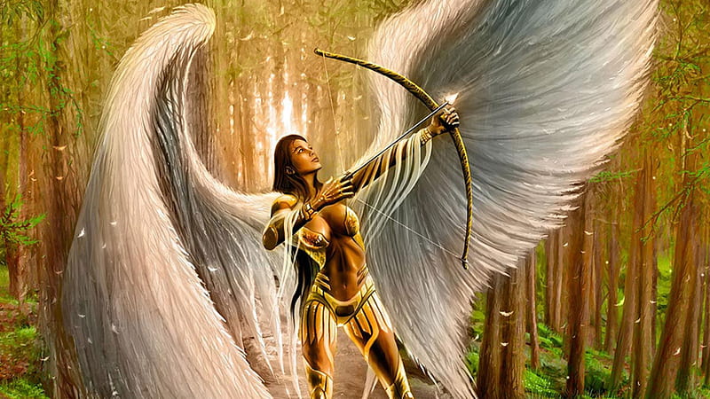 Cupid Angel, cupid, angel, wings, arrow, HD wallpaper