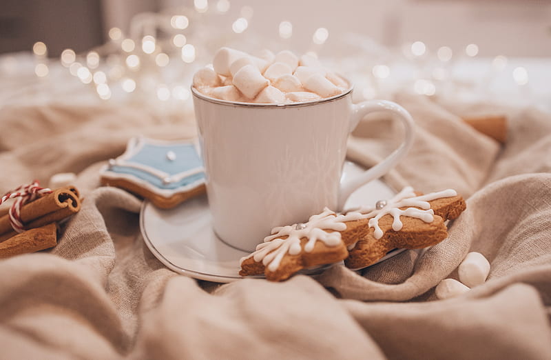 cup, marshmallow, cookies, white, HD wallpaper