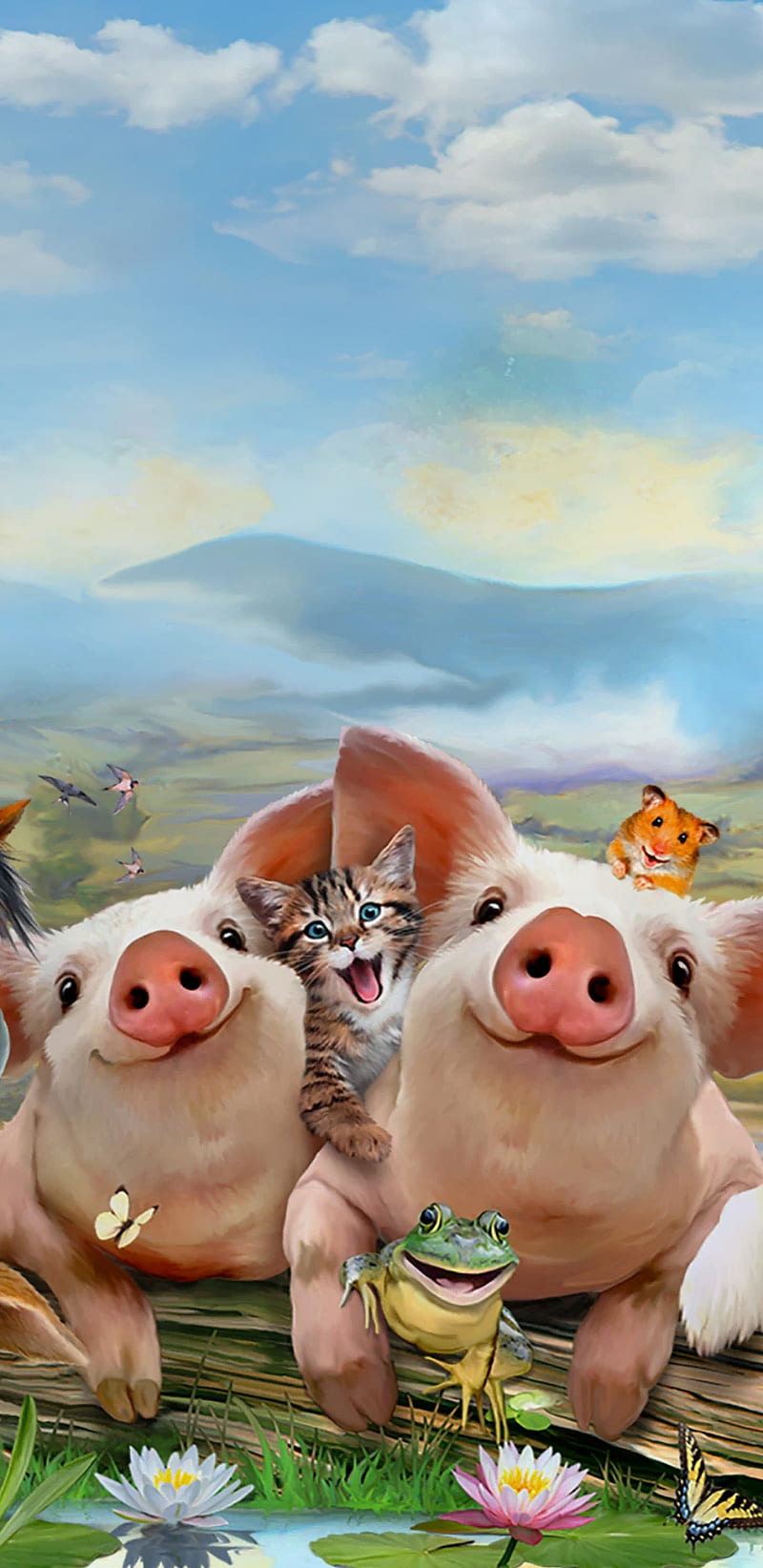 Piggy Farm Selfie, animal, animals, cat, cute, frog, kitten, pig, HD phone wallpaper
