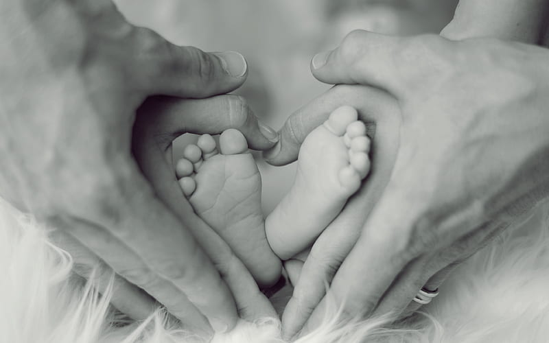 family, birth concepts, newborn concepts, happy family, mom dad baby, baby feet in parents hands, parents concepts, love concepts, HD wallpaper