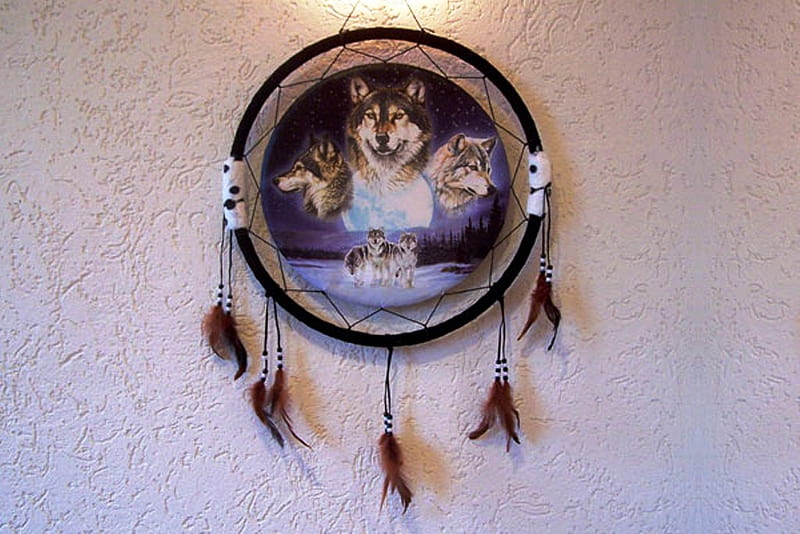 Dreamcatcher-Wolf-Blue, natyre, dreamcatcher, native, wolf, animals, dogs, blue, HD wallpaper