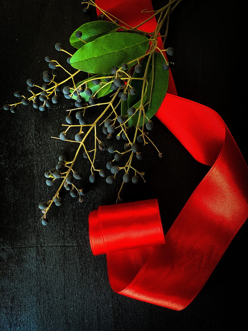 branch, berries, ribbon, red, HD phone wallpaper
