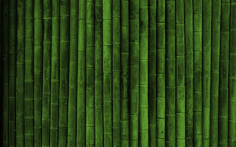 Bamboo Wall, HD wallpaper