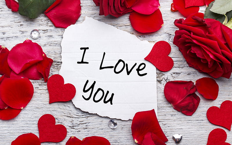 I Love You, roses rose petals, HD wallpaper