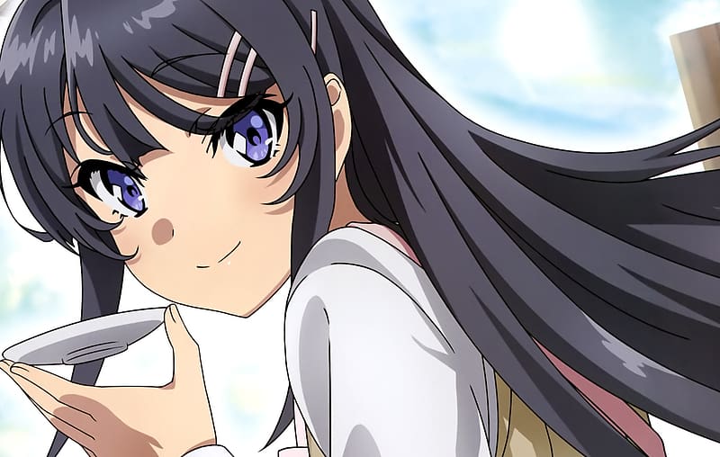 Anime, Mai Sakurajima, Rascal Does Not Dream Of Bunny Girl Senpai, HD wallpaper