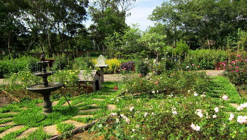 Garden, tree, sunny day, grass, plants, Small fountain, flowers, HD wallpaper