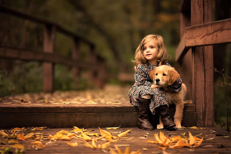 Little girl, pretty, adorable, sweet, sightly, nice, love, beauty, face, child, dog, bonny, lovely, blonde, pure, baby, sit, cute, white, Autumn, Hair, little, Nexus, bonito, dainty, animal, kid, graphy, leaves, fair, bridge, people, pink, Belle, comely, girl, princess, childhood, HD wallpaper