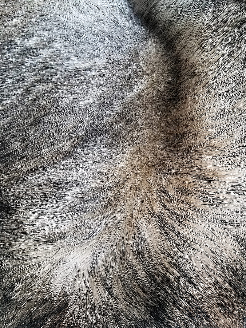 fur, hair, texture, HD phone wallpaper