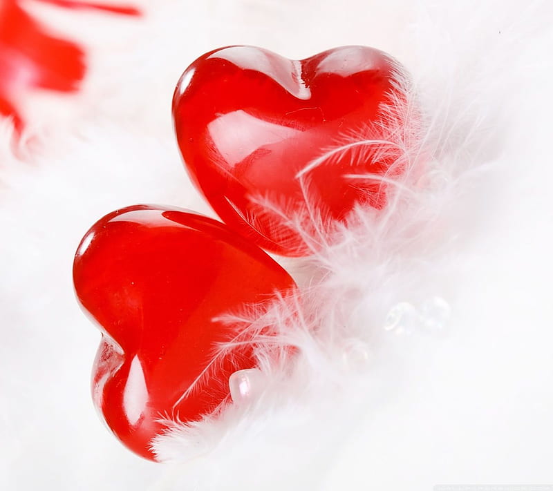Two Heart, corazones, love, HD wallpaper