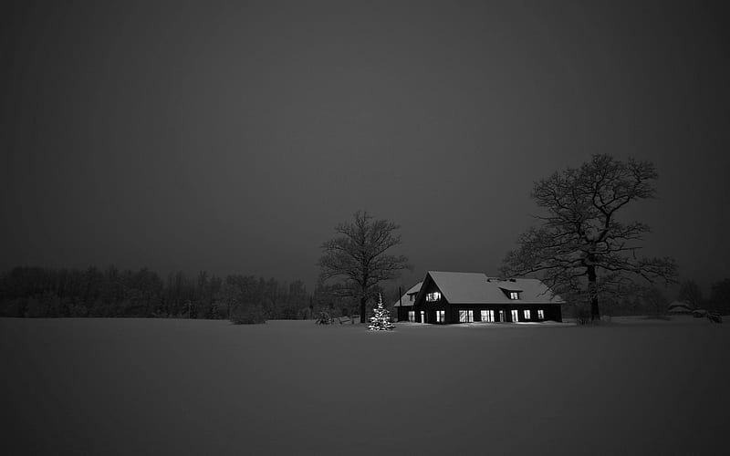 graphy, Black & White, Christmas, House, Landscape, Night, Snow, HD wallpaper