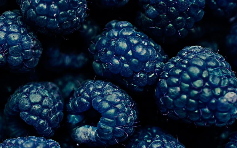 blackberry, macro, fresh fruits, berries, dewberry, fruits, HD wallpaper