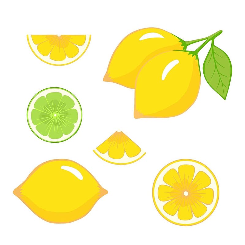 lemon, lime cut. Illustration for printing, background, , covers, packaging, greeting cards, posters, stickers, textile and seasonal design. Isolated on white background. 5697376 Vector Art at Vecteezy, HD phone wallpaper