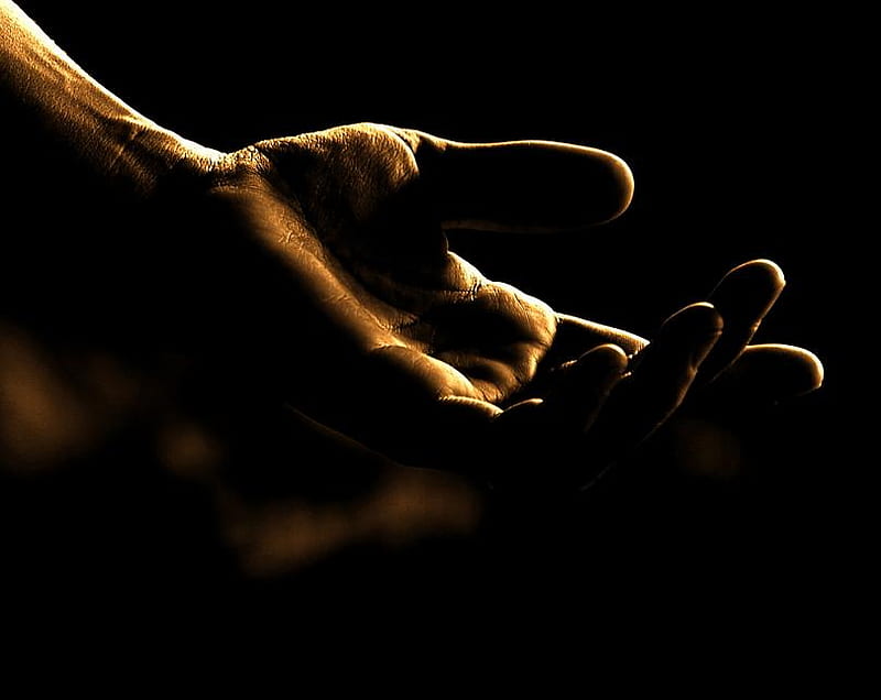The gesture of love, reaching out, hand, gesture, black background, HD wallpaper