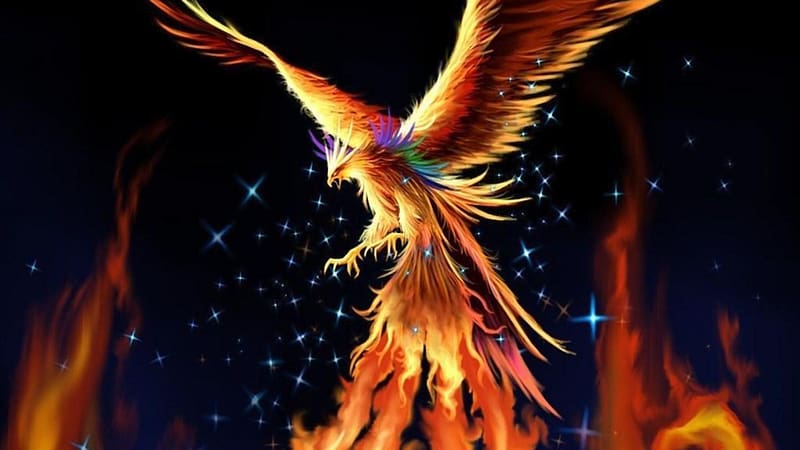 Fantasy, Fire, Bird, Phoenix, Fantasy Animals, HD wallpaper