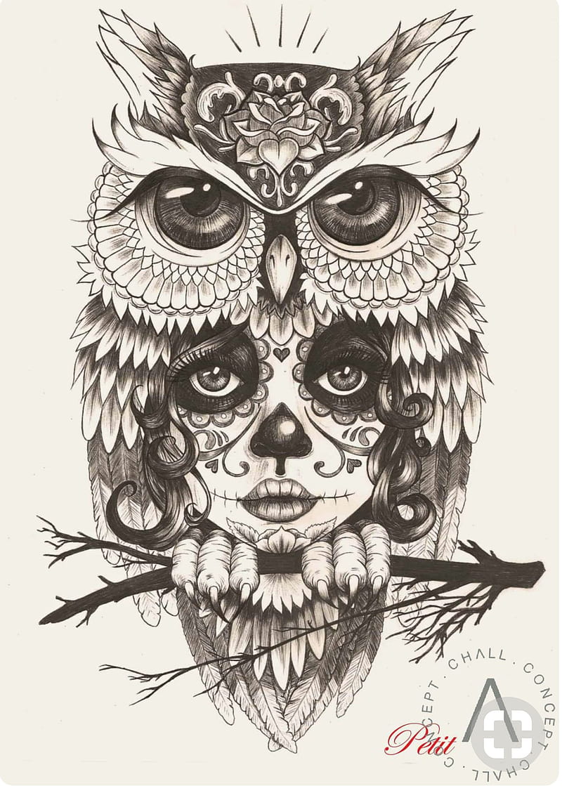 Skull owl, candy skull, girl, sugar, tattoo, HD phone wallpaper