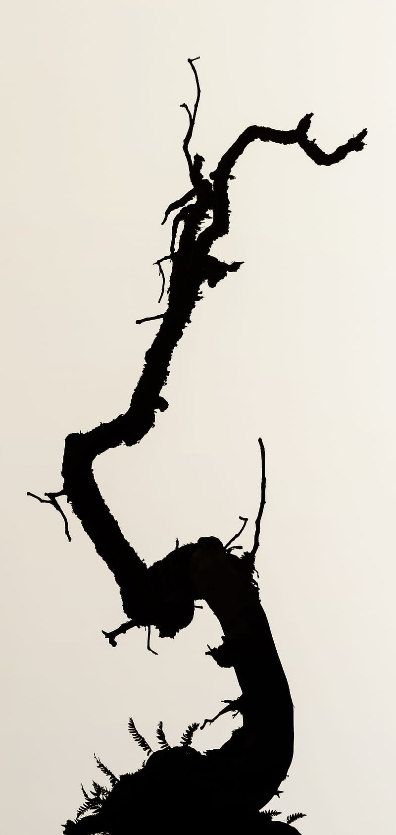 branch, silhouette, minimalism, bw, HD phone wallpaper