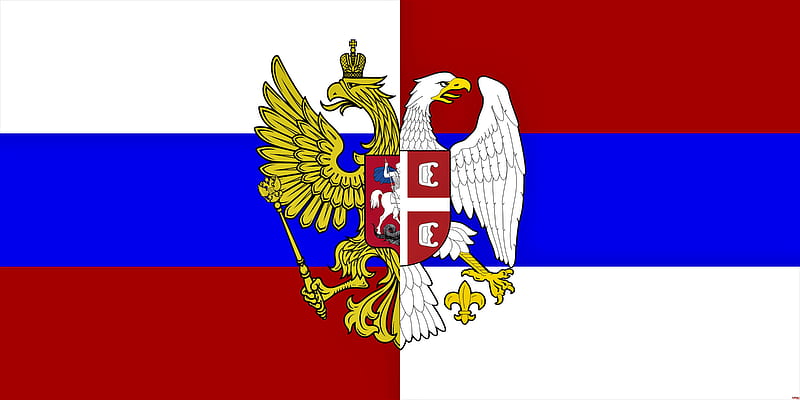 Russia Serbia, brotherhood, eagle, flag, love, srbija rusija, tricolor, HD wallpaper
