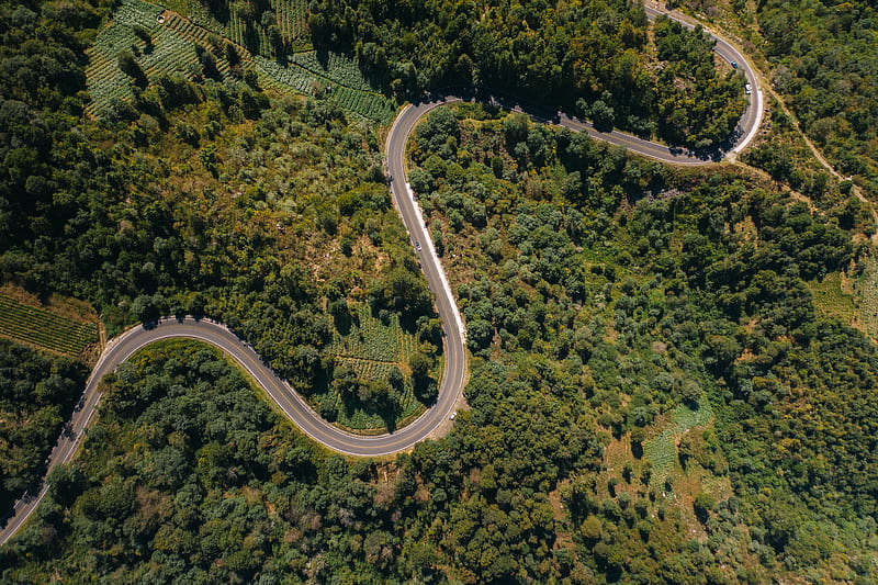 Aerial View of Road in the Middle of Green Trees, HD wallpaper