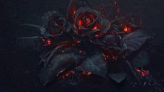 Roses on fire, black, dark, rose, flower, HD wallpaper