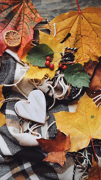 Autumn Leaves Books Heart Fall Love 6943760