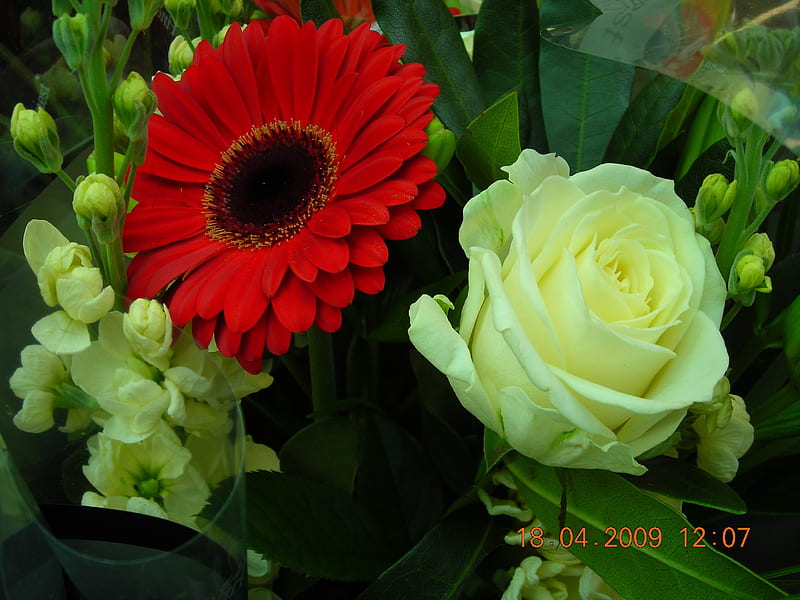 Lovely Bouquet, red, rose, bouquet, gerbera, flowers, yellow, nature, HD wallpaper
