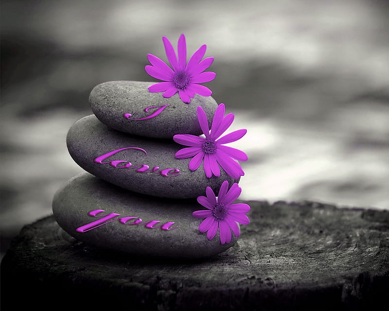 I Love You, flowers, purple, stones, HD wallpaper