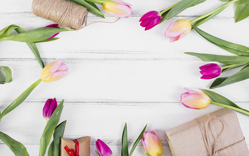 frame of tulips, light wooden background, white wooden texture, flower frame, tulips, spring flowers, HD wallpaper