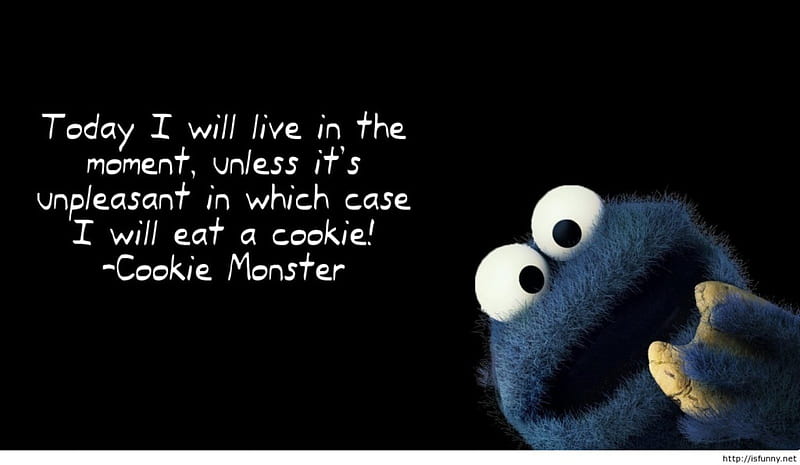 Live in the Moment, Sesame, Cookie, Monster, Street, HD wallpaper