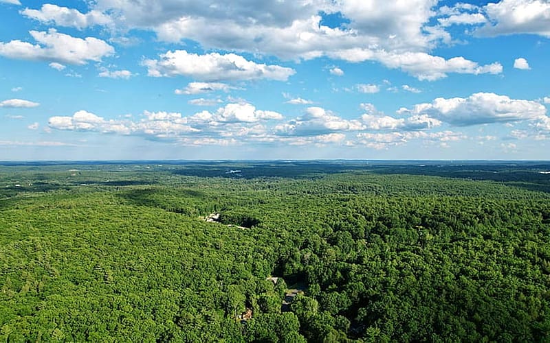 Forest from Above, aerial, horizon, clouds, forest, HD wallpaper