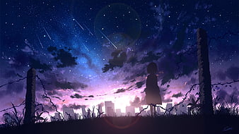 Shrine Gate Night Sky Anime Scenery 4K Wallpaper #6.2588