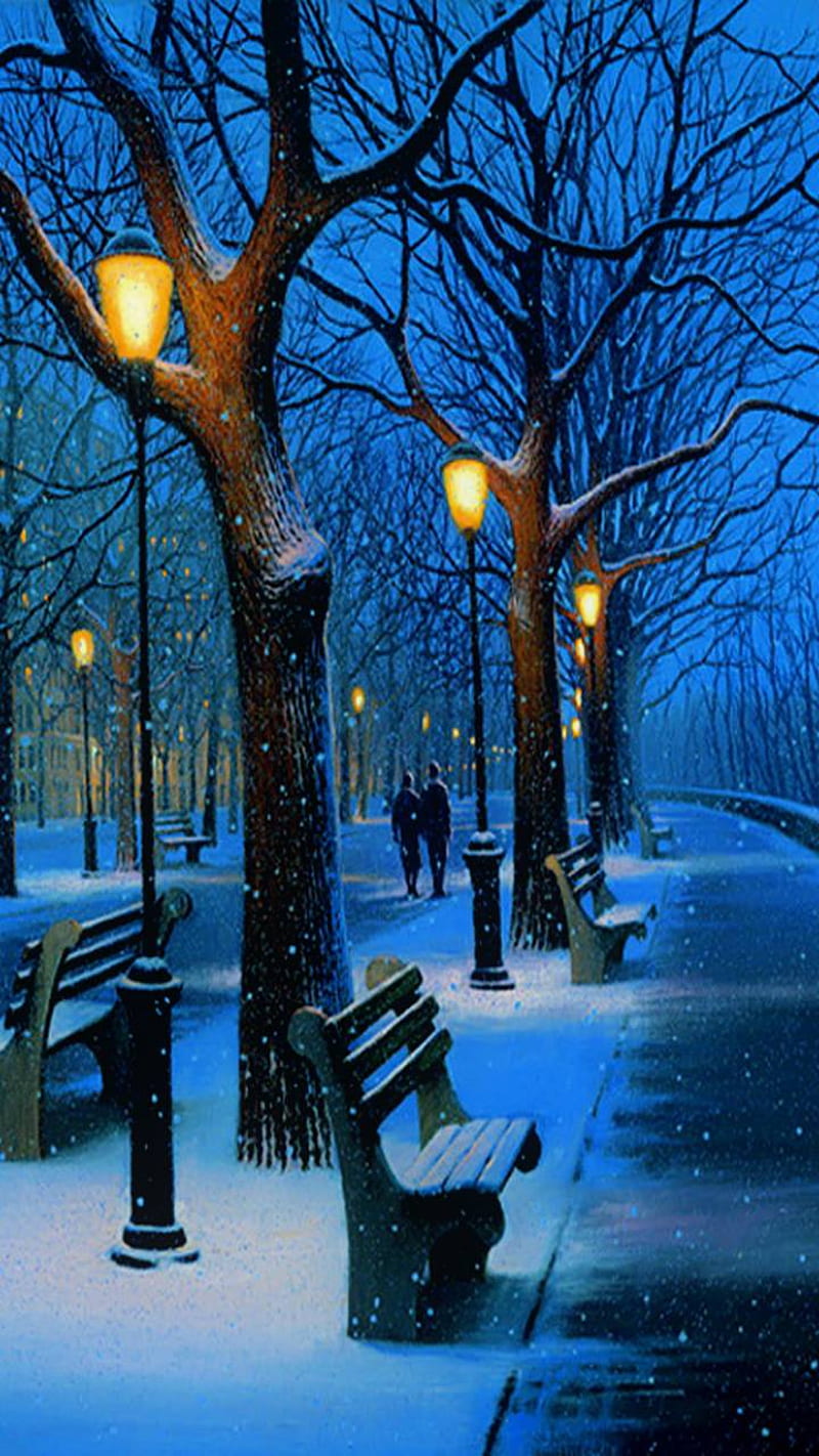 Winter park scene, night, HD phone wallpaper