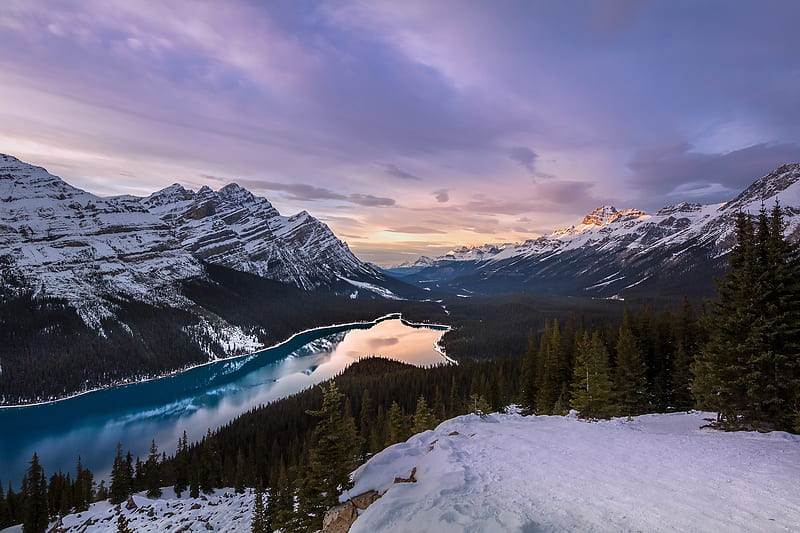 Landscape, Nature, Lakes, Mountain, Lake, Canada, Forest, Earth, Valley, Peyto Lake, HD wallpaper
