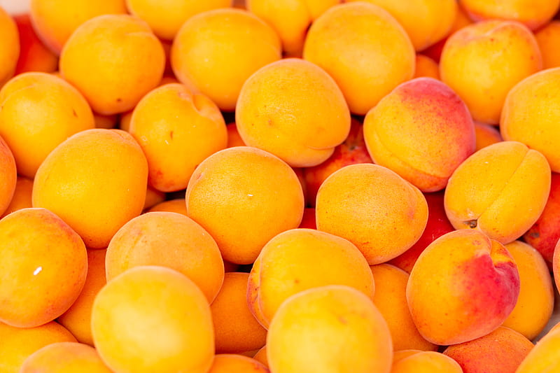 apricots, fruit, yellow, ripe, fresh, HD wallpaper