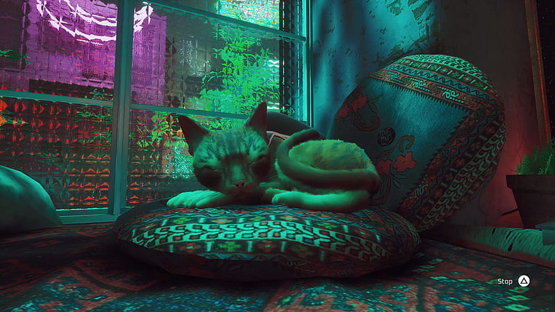 Here's a gallery of the cat sleeping inside Stray, Stray Game, HD wallpaper