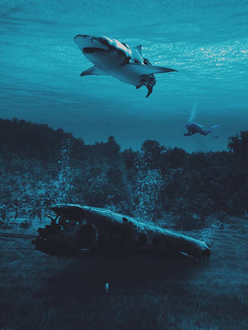 Plane Crash in Ocean, GEN_Z__, accident, adventure, airplane, animal, bubbles, carnivore, collage, danger, digital, digitalmanipulation, discovery, diver, exploration, fish, forest, mystery, manipulation, plane crash, plane wreck, sea, seabed, shark, trees, water, wreck, HD phone wallpaper