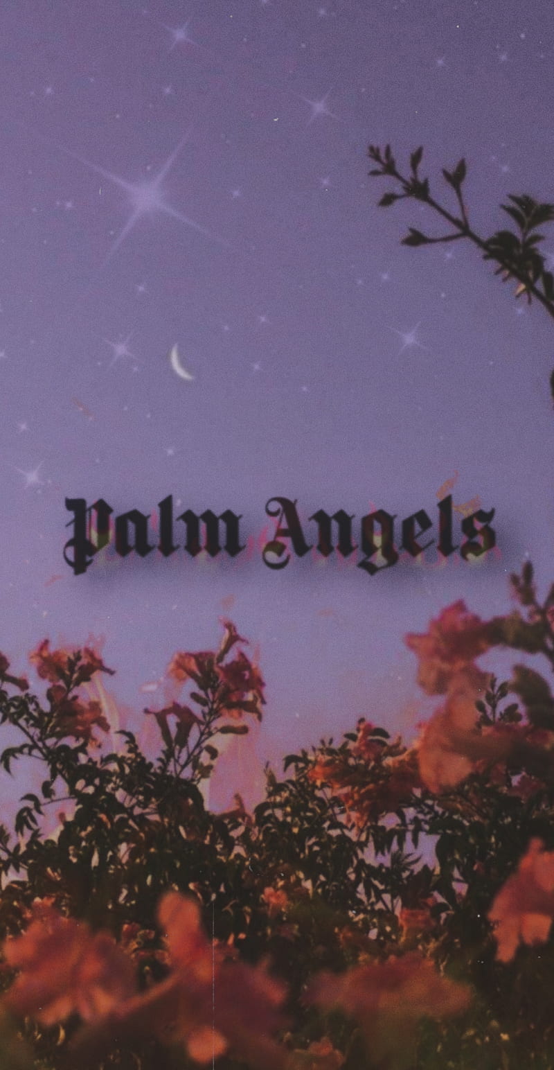 Palm Angels Wallpaper Discover more Angels Vlone Angels Vlone Logo Palm  Angels Palm Angels Logo Vlone wallpape  Angel wallpaper V lone  wallpapers Vlone logo