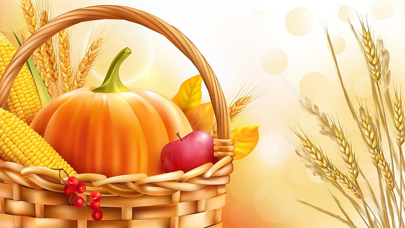 Thanksgiving Bounty, corn, fall, autumn, harvest, wheat, apples, maze, Thanksgiving, berries, basket, pumpkins, HD wallpaper
