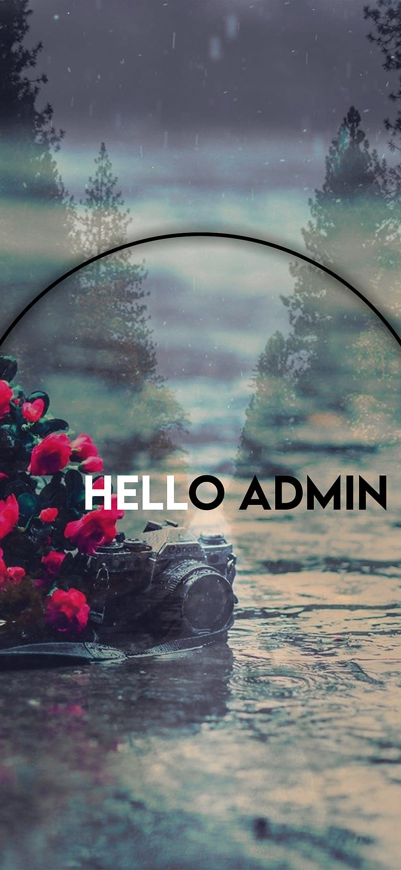 Hello Admin, dark, developer, hack, happy, rose, sad, software, HD phone wallpaper