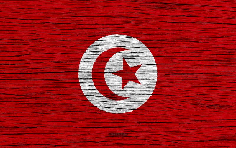 Flag of Tunisia Africa, wooden texture, Tunisian flag, national symbols, Tunisia flag, art, Tunisia, HD wallpaper
