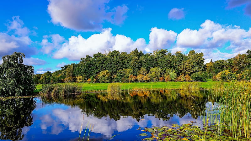 Mirror in the lake, scenic, grass, orange, 1920x1080, yellow, bonito, clouds, graphy, nice, green, mirror, reflection, scenery, blue, amazing, forest, sky, trees, lake, water, cool, plants, awesome, nature, scene, field, landscape, HD wallpaper