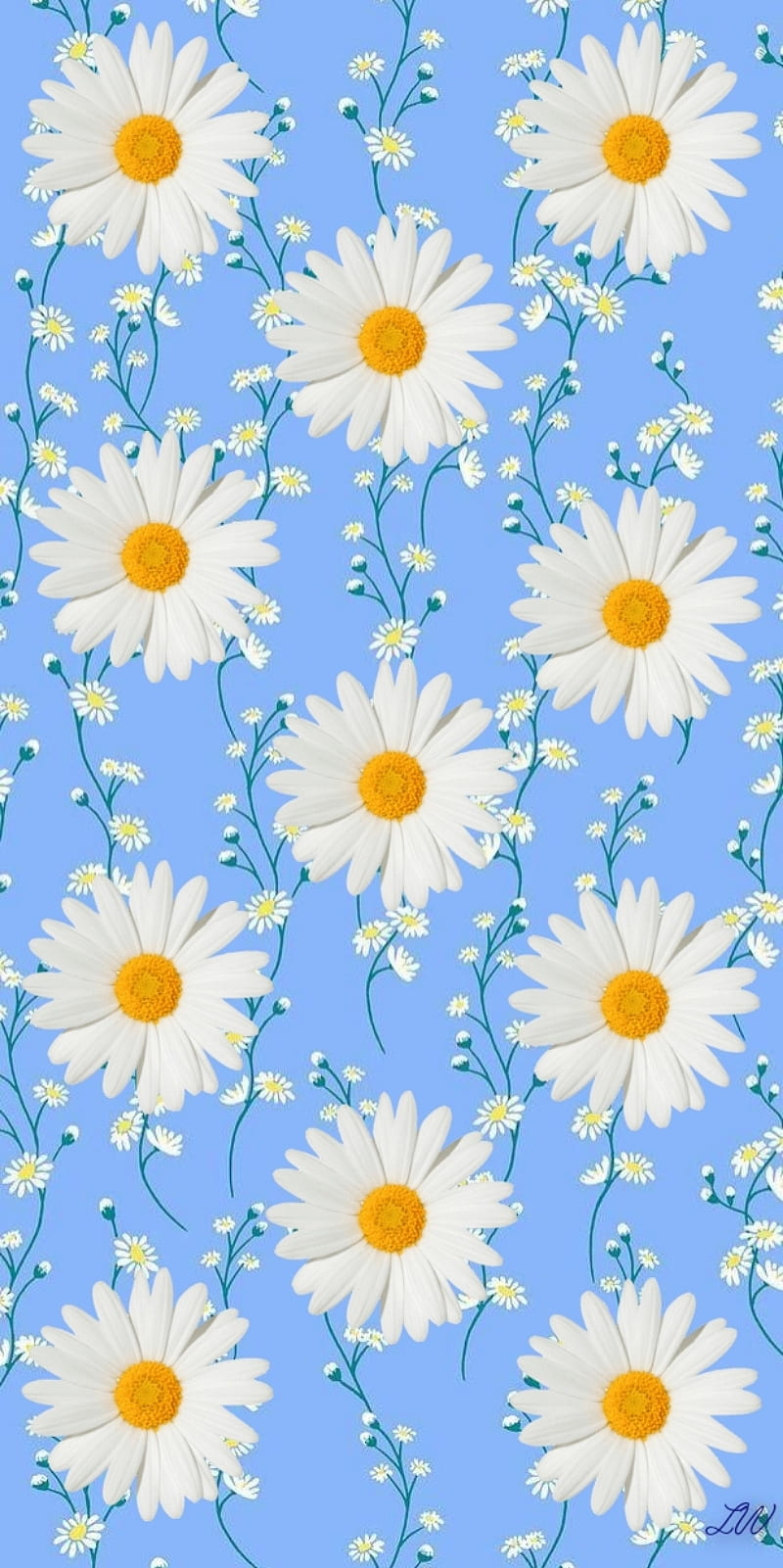 Daisy, blue, daisies, flower, flowers, HD phone wallpaper