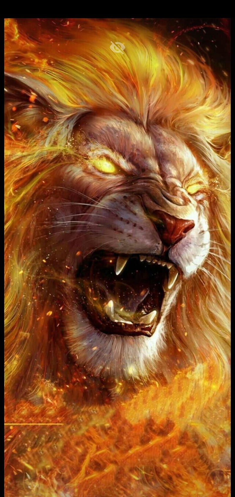 Fire lion, angry, lion, HD phone wallpaper | Peakpx