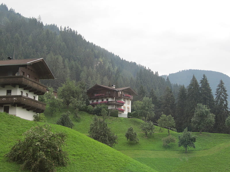 Cosy in Tirol, mountain, forest, fields, houses, HD wallpaper