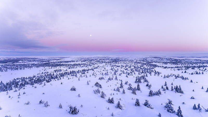 Snow Covered Field , snow, field, nature, aerial, HD wallpaper