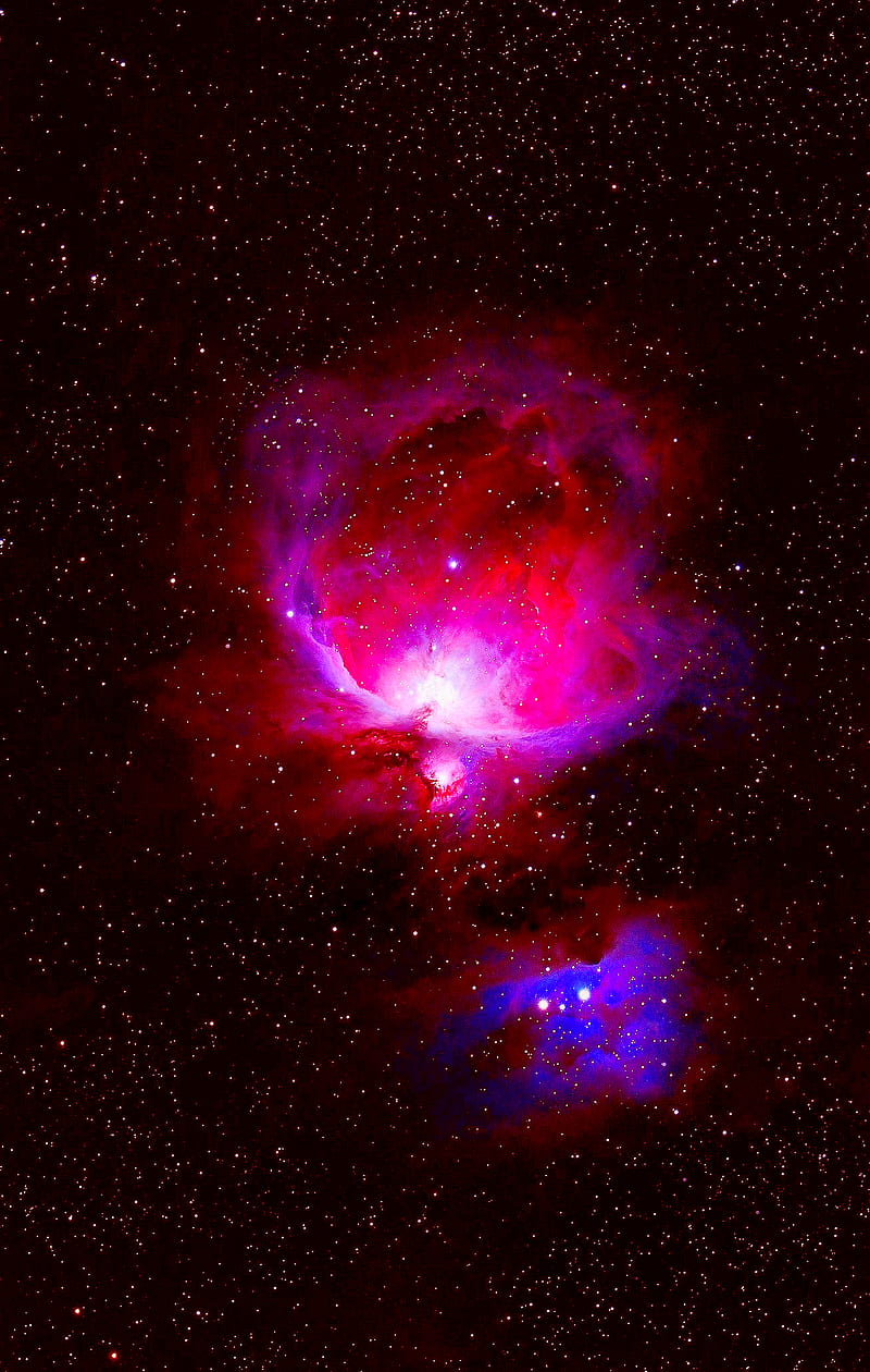 Orions Nebula, astronomy, m42, sky, space, stars, universe, HD phone wallpaper