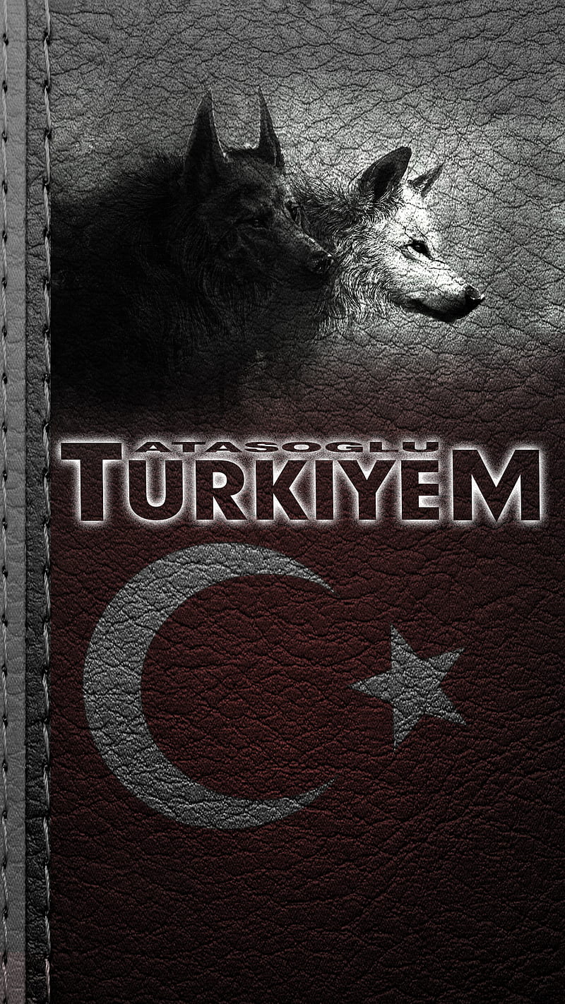 TURKIYE BOZKURT, bozkurt, ottoman, turk, turkey, turkiye, veli, wolf, wolfs, HD phone wallpaper